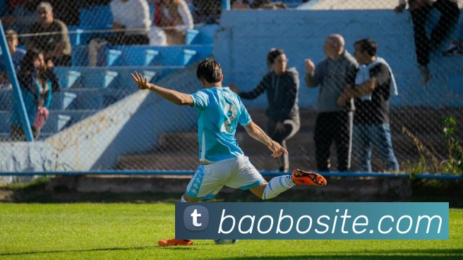 宝博体育APP 高清赛事图